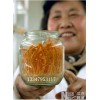 江蘇蟲草瓶廠家，蟲草培養(yǎng)瓶，冬蟲夏草瓶，蟲草瓶批發(fā)